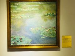 -印象莫奈时光映迹艺术展