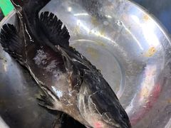 -众味海鲜大排档·活海鲜·潮汕味(南澳店)