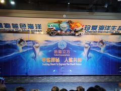 -成都浩海立方海洋公园