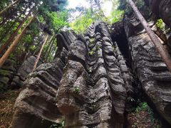 -梭布垭石林景区