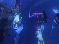 -多彩贵州城极地海洋世界