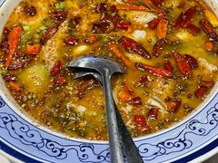 -新蜀会四川豆花(五羊店)