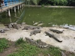 -广州长隆飞鸟乐园