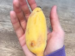 -e佳鲜果(四方坪店)