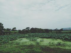 -盘龙城国家考古遗址公园