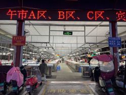 -德龙国际珠宝城