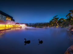 -罗红摄影艺术馆