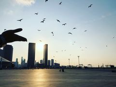 -东港音乐喷泉广场