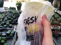 -丸摩堂鲜果茶(华西二院店)