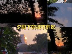 -荔湾湖公园