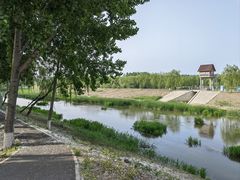 -东郊湿地公园
