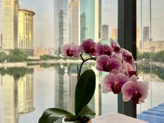 -珈境湖畔餐厅·湖北菜·江浙菜•樱花季(西北湖店)