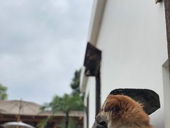 -悦哉·派对·草坪婚礼·围炉煮茶(三圣乡店)