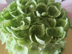 -福气鲜活面包·生日蛋糕