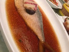 清蒸鲥鱼-绍兴饭店(大宁店)