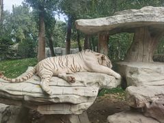 -北京野生动物园