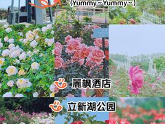 -麗枫酒店(深圳机场福永地铁站店)