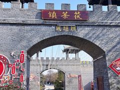 -茯茶镇