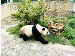 -天津市动物园
