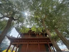 -张掖大佛寺景区