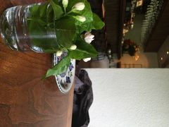 Ginger&nbsp;by&nbsp;the&nbsp;park-Ginger(兴国路店)