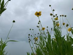 -嵊泗基湖沙滩