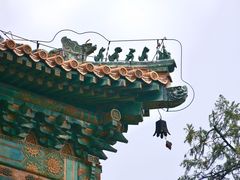 -颐和园