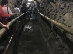 -武隆天坑地缝国家地质公园