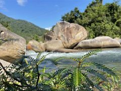 -海南热带雨林国家公园吊罗山景区