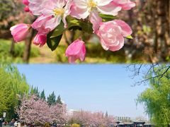 -海棠花溪(元大都城垣遗址公园)