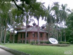 -中山大学学者灵芝(园南路店)