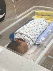 -海豚湾高端月子会所(黄浦店)