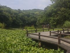 -天目湖山水园