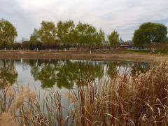 -永定河休闲森林公园