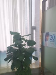 -武汉五洲整形外科医院