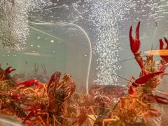 -三太子地摊烧烤·小龙虾(北蔡店)