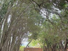 -艾提尕尔清真寺