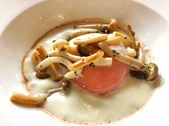 -蝶舍·MAISON PAPILLON