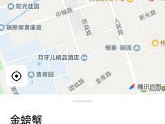 -金螃蟹