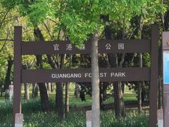 -官港森林公园