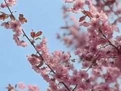 -皇家御河游(紫御湾码头)
