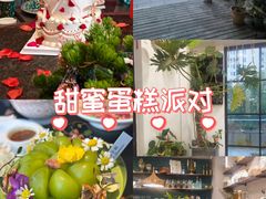 -半分甜(台柳路店)