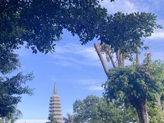 -南普陀寺