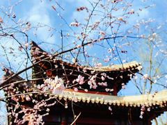-北坞公园