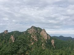 -大岭沟猕猴桃谷风景区