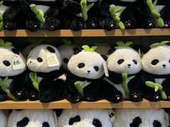 -名创优品(青羊窄巷子店)