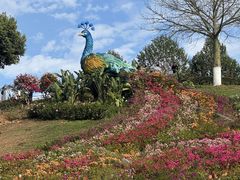 -东莞植物园