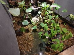 -邈墨茶馆(凤起路店)