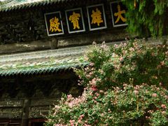 -报恩寺(平武县)