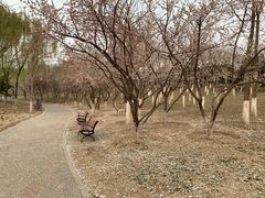 -大兴滨河森林公园